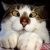 Profile Picture of Andrew Tuten (@andrewtuten) on Pinterest