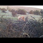 Profile Picture of steveridge (@steveridge) on Instagram