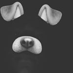 Profile Picture of Jacob Scott (@scot17776) on Instagram