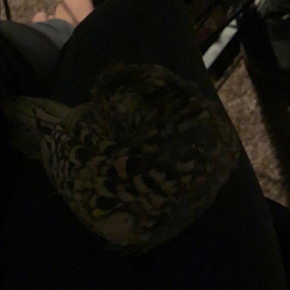 Profile Picture of Connor Osborne (@connor4268) on Poshmark