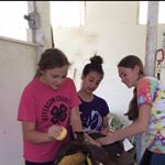 Profile Picture of Jade, Devon And Gigi (@_no_scope_no_hope_) on Instagram