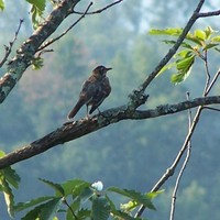 Profile Picture of Renee Bock (@renee-bock-4) on Quora