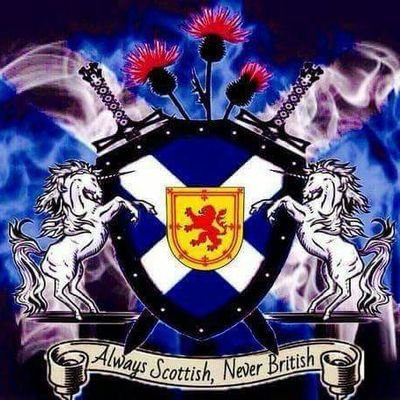 Profile Picture of Ian (@IanHerd64) on Twitter
