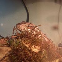 Sara Siudak - Quora Profile Picture of Sara Siudak (@sara-siudak) on Quora