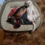 Profile Picture of Darrell Calkins (@darrell.calkins.1) on Facebook