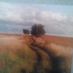 Christine Quinn - Instagram Profile Picture of Christine Quinn (@christine.quinn.33046) on Instagram