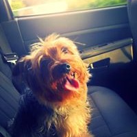 Profile Picture of Jacqueline Matthews (@jacqueline-matthews-1) on Quora