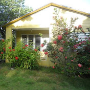 Profile Picture of Daniel Then  (@AminillaDaniel) on Youtube