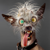 Profile Picture of Patrick McLeod (@patrickmcleod6515) on Youtube