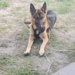 Profile Picture of danielbernfeld (@danielbernfeld) on Tiktok