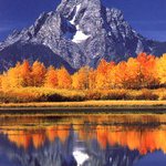 Profile Picture of Condrey (@robert.18802) on Instagram