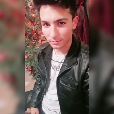 Profile Picture of Daniel Husky (@husky_daniel) on Twitter