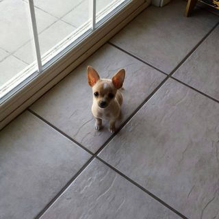 Profile Picture of Lorie Dobson (@lorie.dobson.1) on Facebook