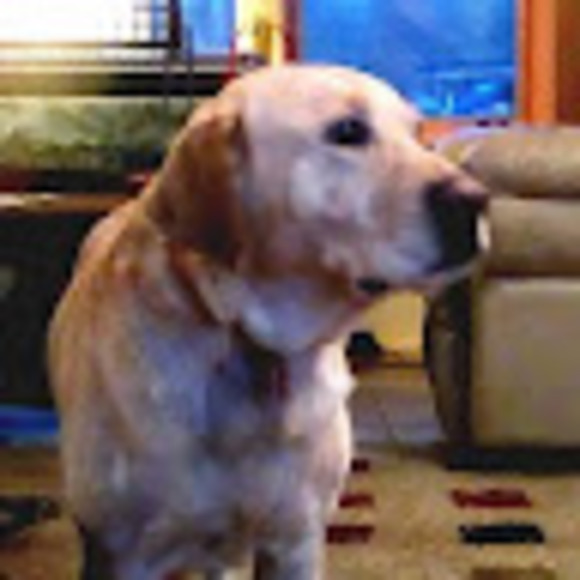 Profile Picture of Jack Thumann (@jtfishking) on Poshmark