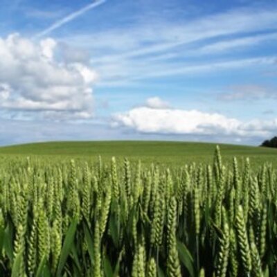 Profile Picture of Tom Harries (@tom_harries4) on Twitter