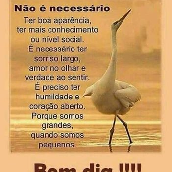 Profile Picture of Jose Carlos Cerejo (@JoseCarlosCere2) on Twitter