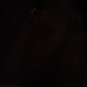 Profile Picture of Colin Pollard (@colinpollard2330) on Youtube