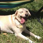 Profile Picture of Mandy Helms (@officialmandyhelms) on Instagram