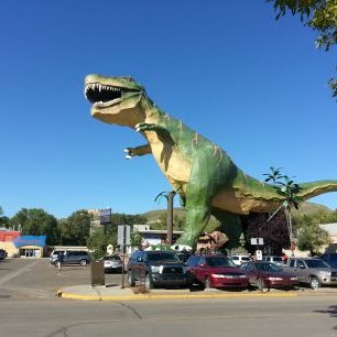 Profile Picture of Brendan Yorkey (@@bongotummy) on Twitter