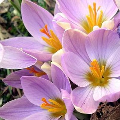 Profile Picture of Catherine Graham (@cathg310864) on Twitter