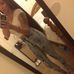 Profile Picture of Alexis Reed (@alexis.reed.7140497) on Facebook