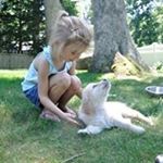 Profile Picture of Mike Ruffini (@mikeruffini) on Instagram