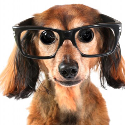 Profile Picture of Nicholas Kosanovich (@LongDogMktgr) on Twitter