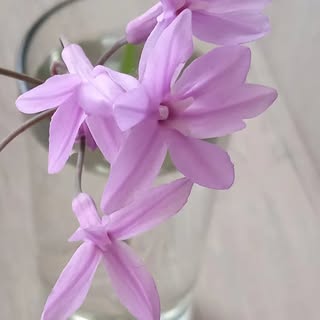 Profile Picture of Myriam Zapata (@myriam.zapata) on Instagram