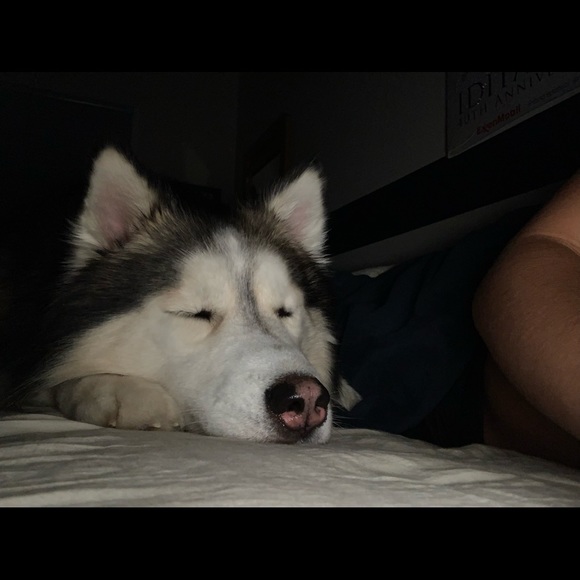 Profile Picture of Michael Lamon (@firenickname) on Poshmark