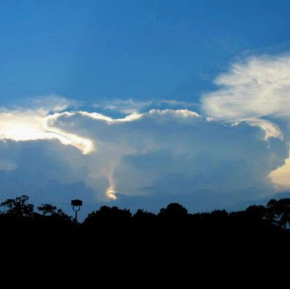 Profile Picture of Prince Grant (@grant447) on Poshmark