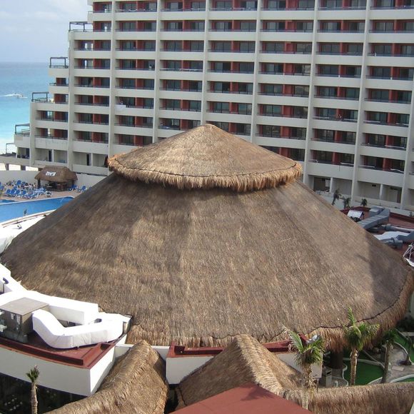 Profile Picture of Carito Koch (@caritokoch) on Poshmark