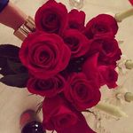 Peter langone - Instagram Profile Picture of Peter langone (@peterlangon) on Instagram