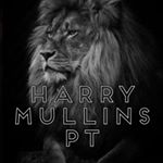 Profile Picture of HARRY MULLINS PT (@harrymullins_pt) on Instagram