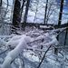 Profile Picture of Nathan Burtner (@nathanburtner) on Pinterest