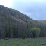 Profile Picture of Raymond Wagler (@waglraymond) on Instagram