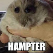 Profile Picture of Leah Bennett (@leahbennett7126) on Youtube