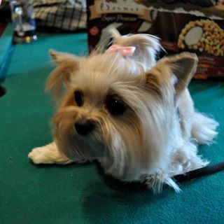 Shirley Mellinger - Facebook Profile Picture of Shirley Mellinger (@shirley.mellinger) on Facebook