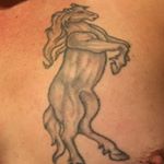 Profile Picture of Jesse Worden (@worden.jesse) on Instagram