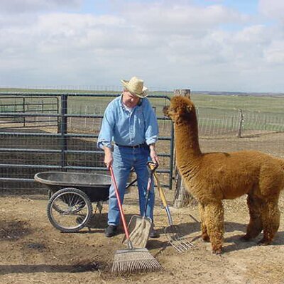 Profile Picture of Robert Sines (@Bobsinfo) on Twitter