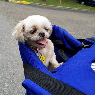Profile Picture of Terry Chapman (@l0stf0cus) on Twitter