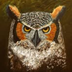 Profile Picture of Chase McGill (@roberto.jenkins.18) on Facebook