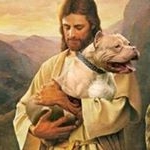 Profile Picture of Arsenio Peraza Bojórquez (@arseniobojorquez) on Instagram