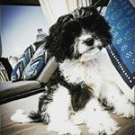 Profile Picture of Bobby lewallen (@bobby.lewallen) on Instagram