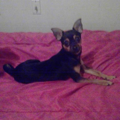 Profile Picture of Emory Williams (@emorywilliams17) on Twitter