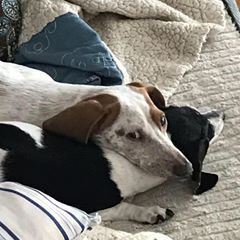 Profile Picture of Mark Millen (@markmillen8) on Tiktok