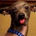 Profile Picture of Jake Welsch (@jake.welsch.5) on Facebook