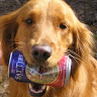 Profile Picture of Brian Odum (@brian-odum-1) on Quora