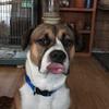 Profile Picture of David Currier (@@davidcurrier23) on Tiktok