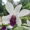Profile Picture of Duy Nguyen (@@duylaixecontainer) on Tiktok
