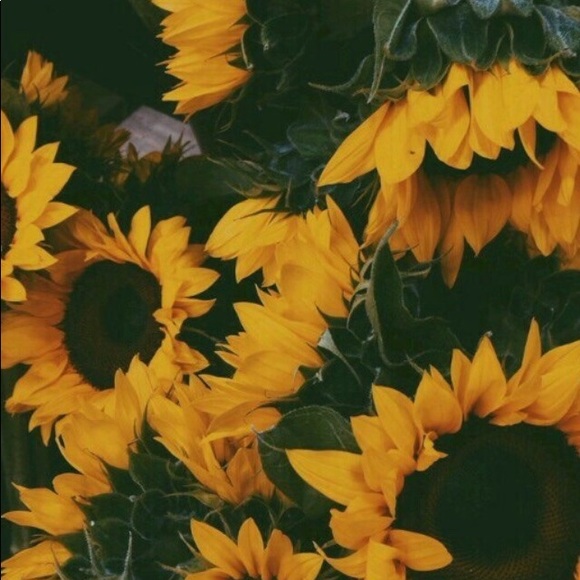 Profile Picture of Mely Lopez (@mxll) on Poshmark